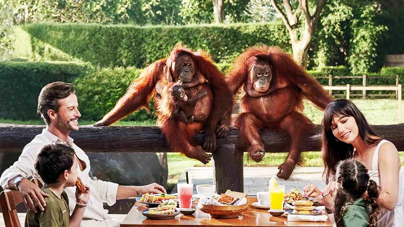 Bali-ATV-Ride-Breakfast-with-Orangutan-and-Elephant-Ride.jpg