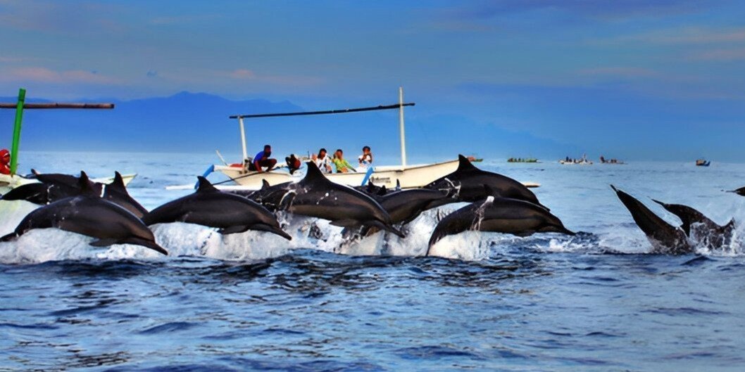 bali-full-day-tour-bali-dolphin-tour_KpaDj.jpeg